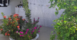 Casa 3 dorms – Santa Amélia