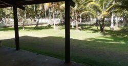 Sítio 4 dorms – Massagueira