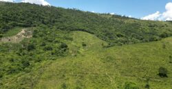 Fazenda – Centro