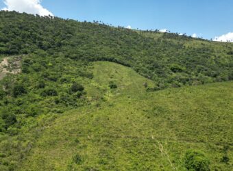Fazenda – Centro
