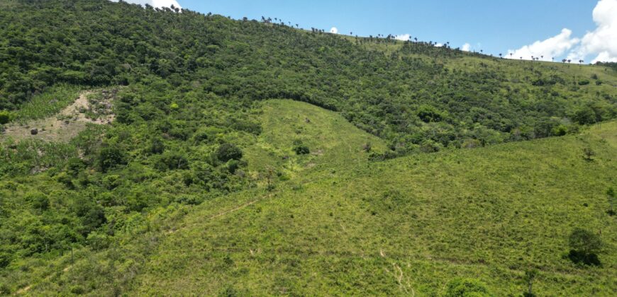 Fazenda – Centro