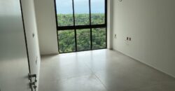Casa 4 dorms – Serraria